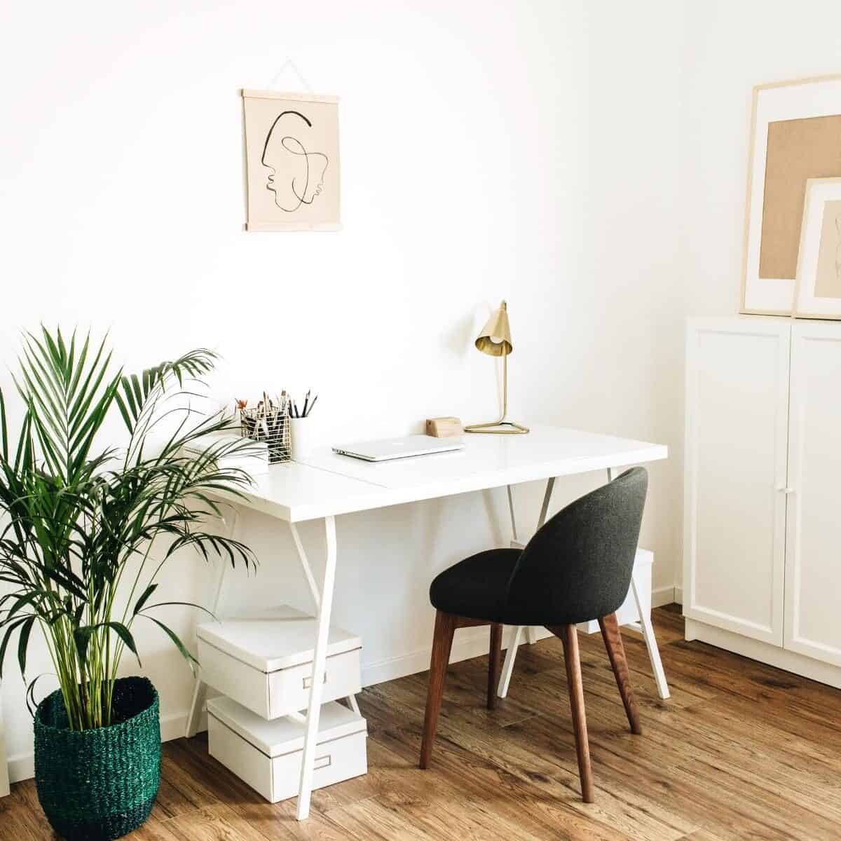 home office with a plant and modern design.