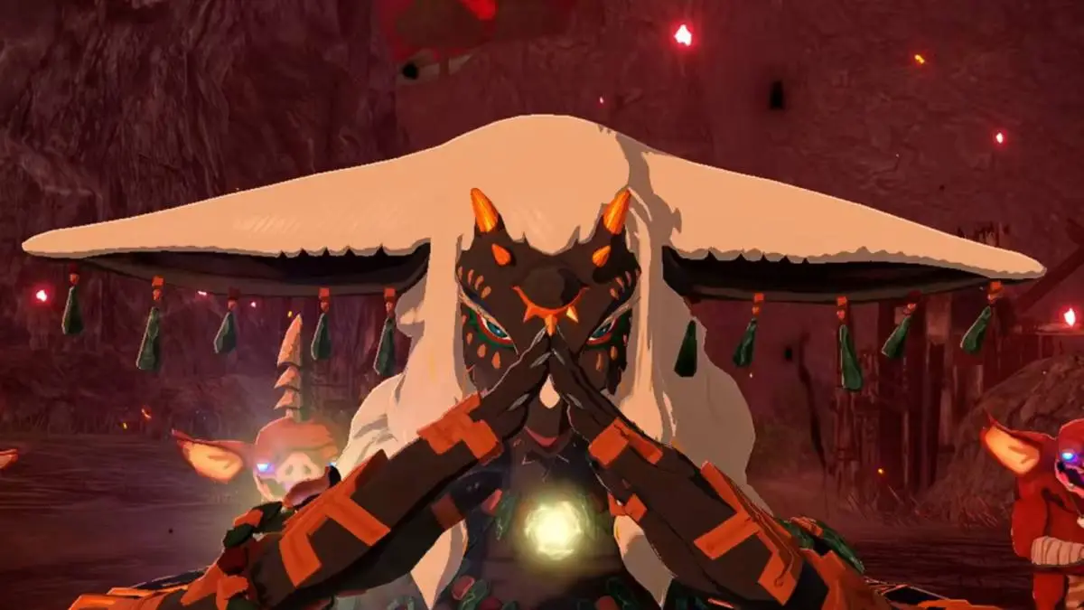 Hyrule Warriors: Age of Imprisonment Switch 2 Creator’s Voice