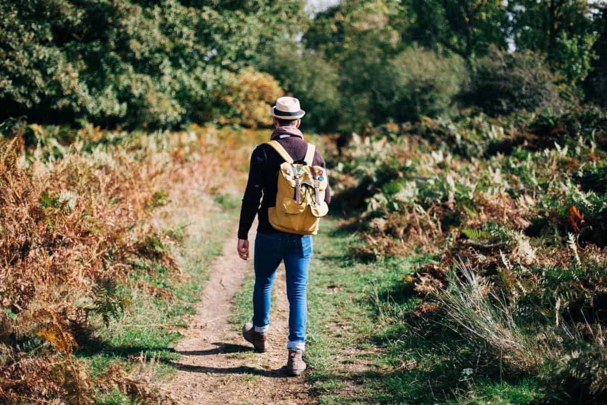 man walking in the countryside