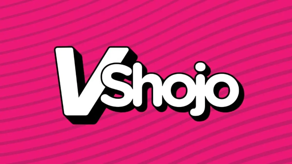 VShojo Co-Founder Leaves VTuber Company VShojo Director of Talent Departed the Vtuber Company VShojo Vtubers Justin Gunrun Ignacio Announced VShojo Closure CEO Gunrun